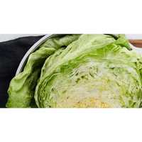 SALAT LADOVY KS