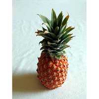 ANANAS KS