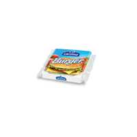 BURGER SYR PL100G