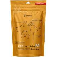 CBD PAMLSKY RECOVERY 100G