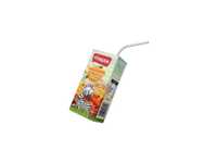 DZUS MULTIVITAMIN 0.2L FRESH