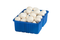 SAMPIONY BIELE 1KG
