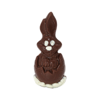 COKO.ZAJACIK 60G